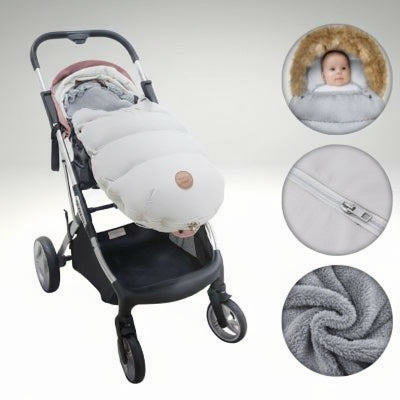 Chancelière-grise-douce