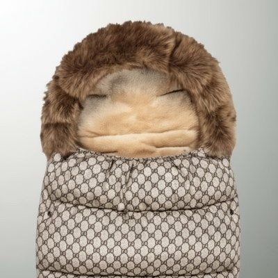 Chancelière DR- Détail capuche